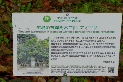 P1140307のコピー