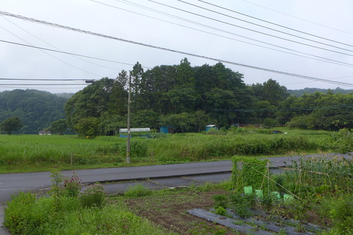 P1160761