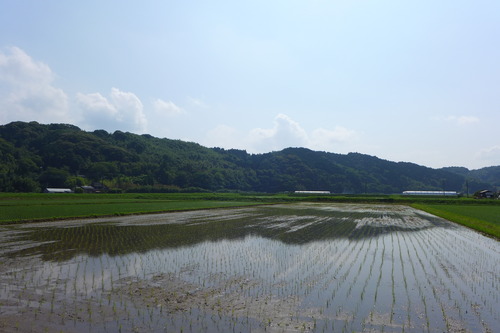 P1110325
