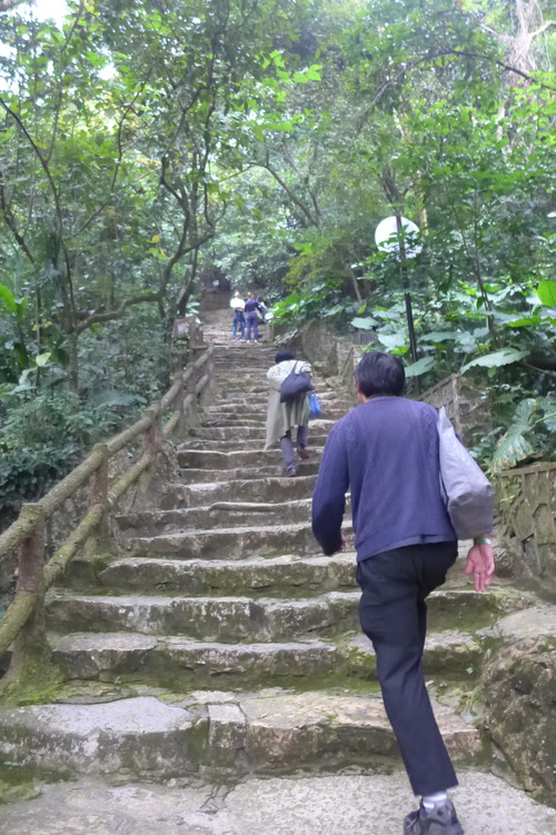 P1420498のコピー