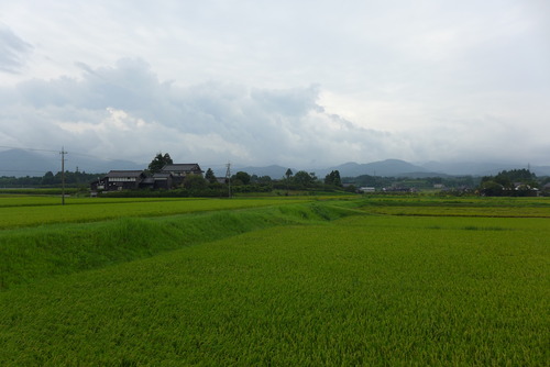 P1080968