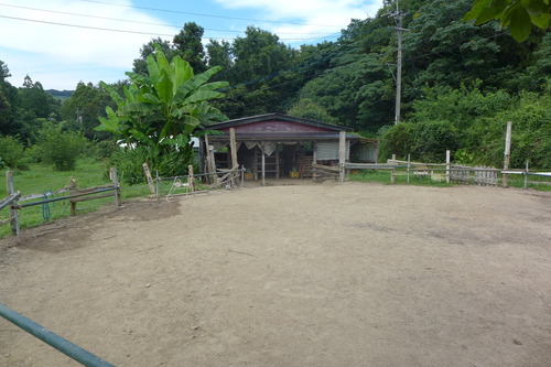 P1160679