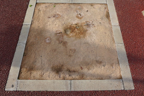 P1140046