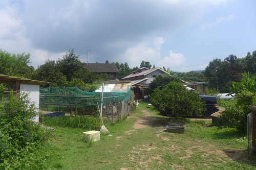 P1200419