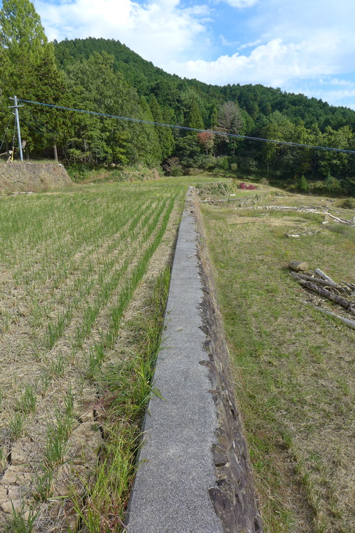 P1250881