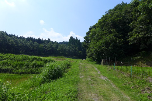 P1280332