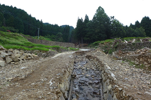 P1200229