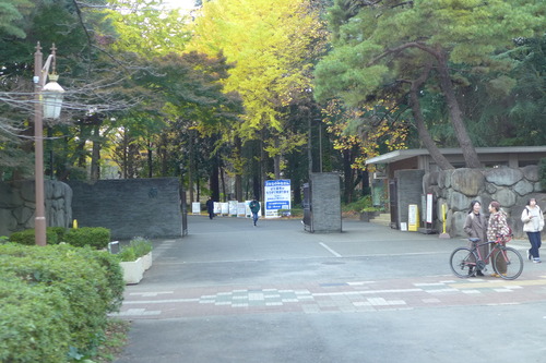P1050217