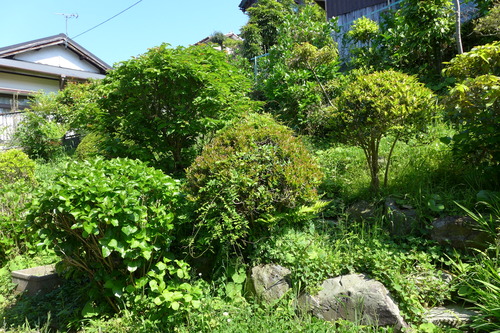 P1070398