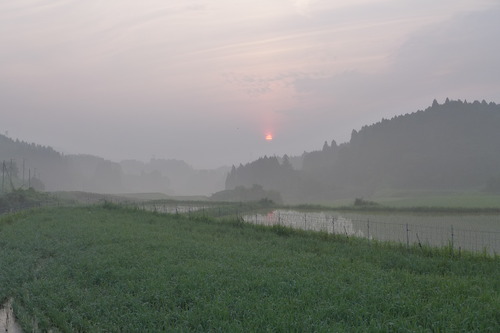 20250705この地に農業高校生たちと岡大豆を蒔いて育てるプロジェクトサイト開始。クワマン桑島孝彦さん・瀧下雅幸さん、竹田市直入町梶屋の耕作放棄地蘇生へ。