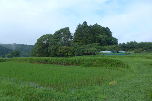 P1160764