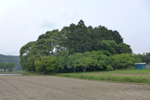 P1100841