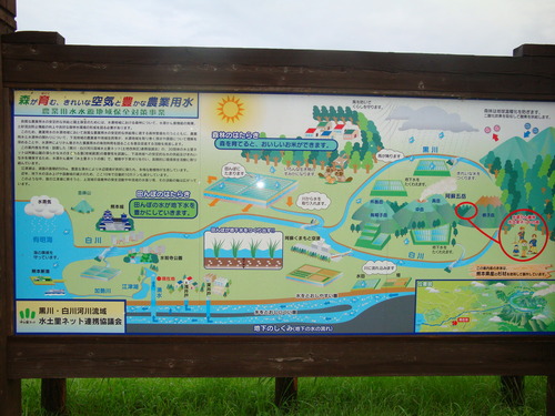 DSC09851