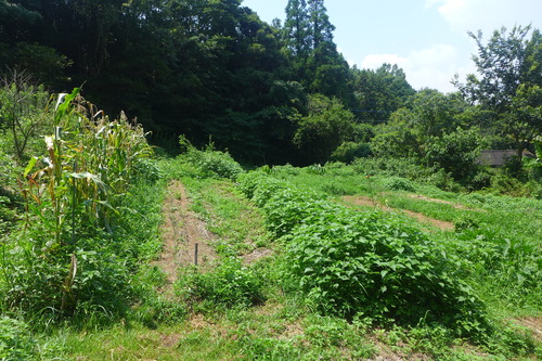 P1200438