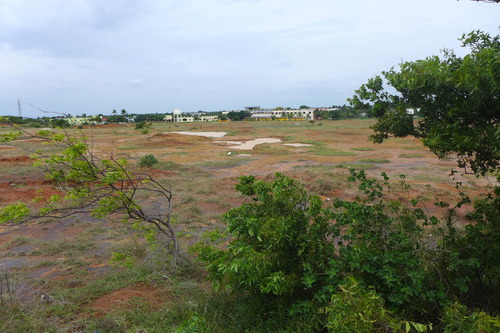 P1190970