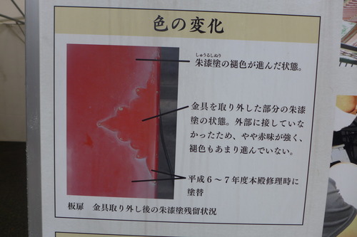 P1070307