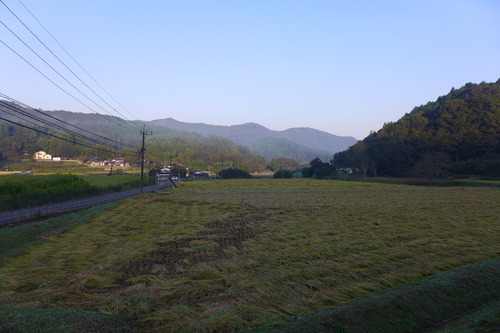 P1180679