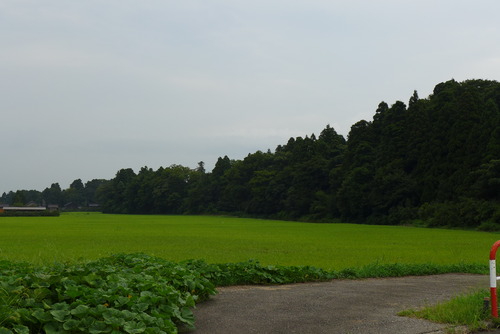 P1080975