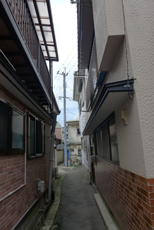 P1060054