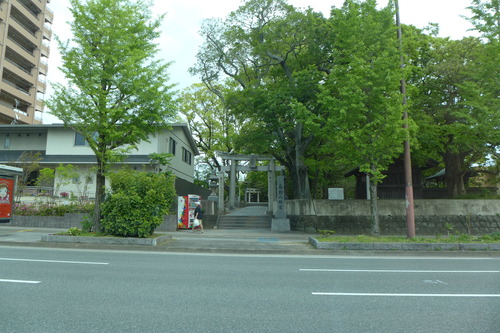 P1110089