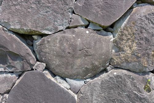 P1140901