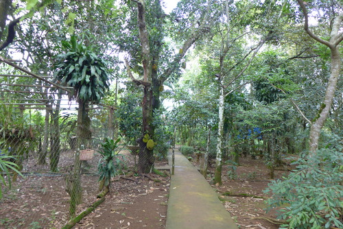P1050636