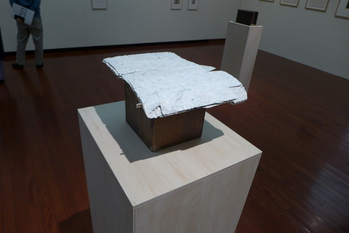 P1020051