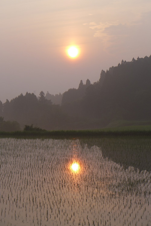 20250705竹田市直入町梶屋にて朝日参拝！