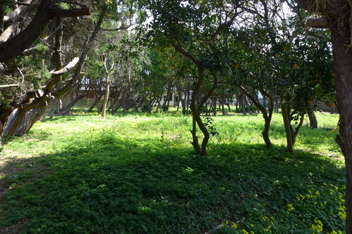 P1060098