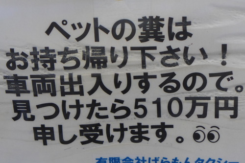 20260127福江島フラヌール！！