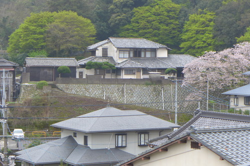 P1100529