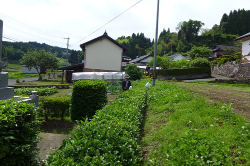 P1150765