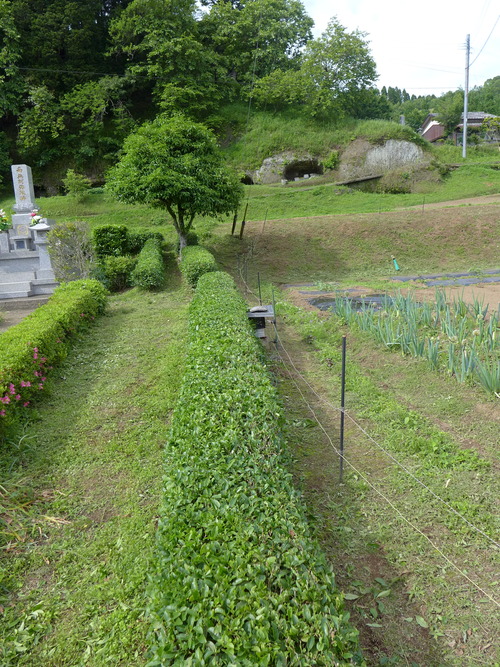 P1150789
