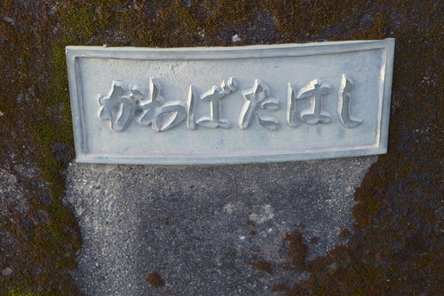 P1020931
