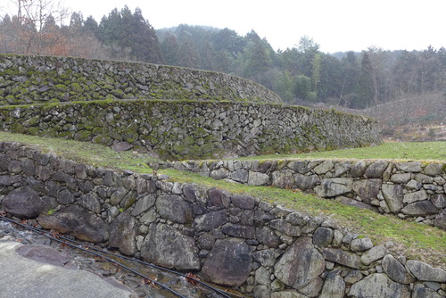 P1020751