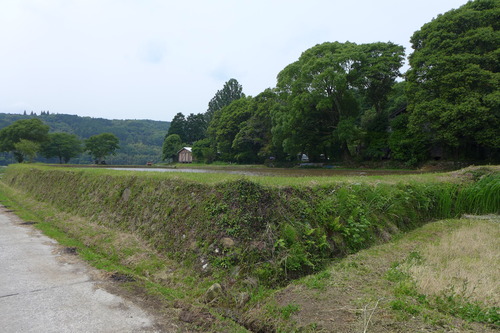 P1100839