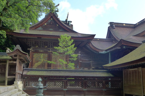 P1220394