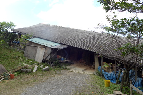 P1520372