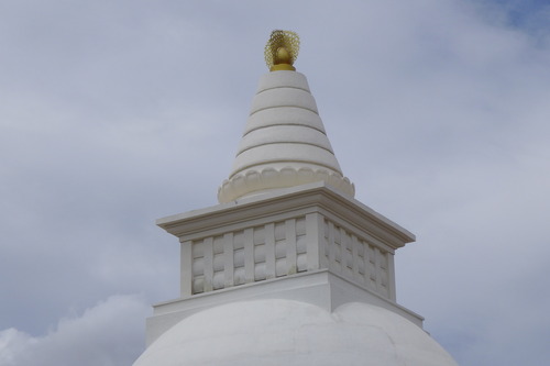 P1200049