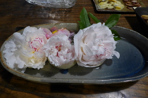 P1070747