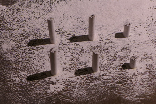 P1210317