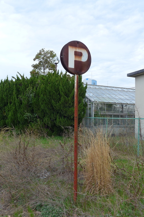 P1160859