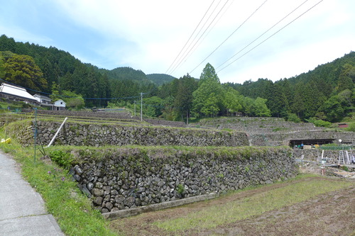 P1110243