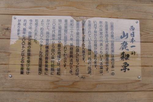 P1130754