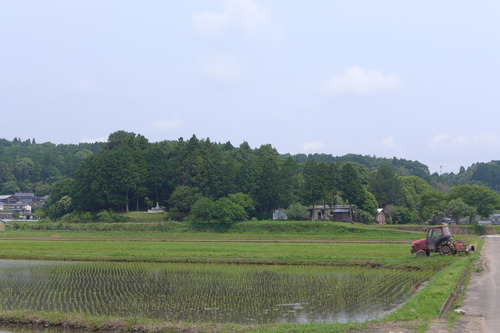 P1100822