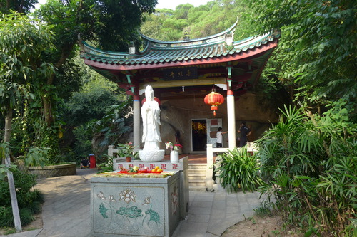 P1020559