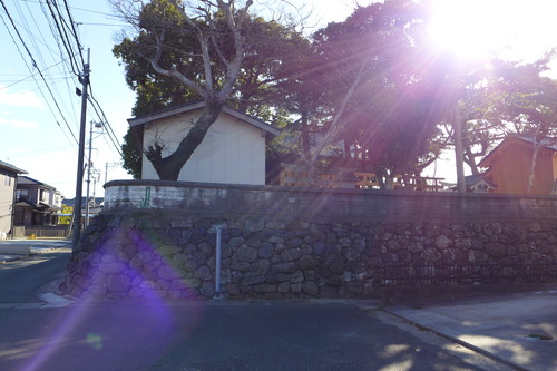 P1040611