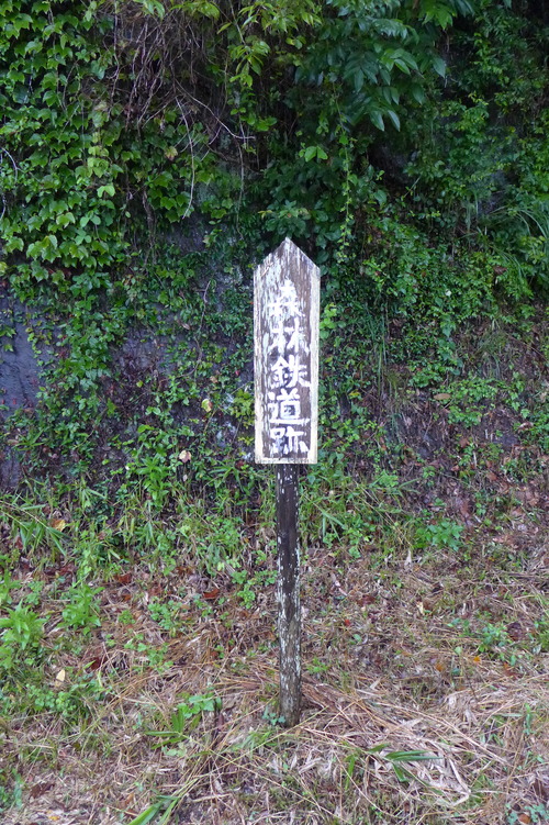 P1300691
