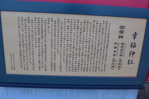 P1070355