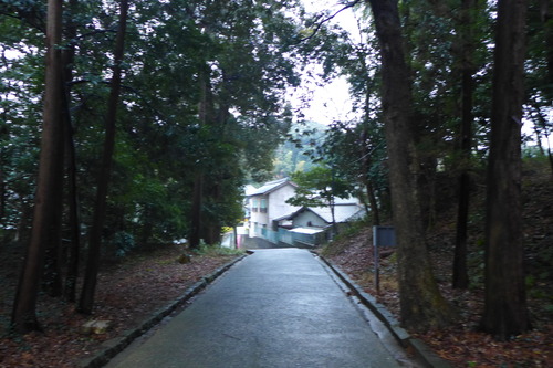 P1070351